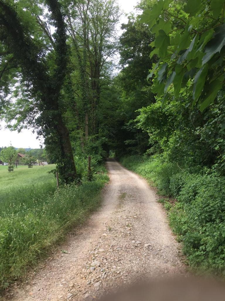 Wohnresidenz Casa Fortuna Suhr Zewnętrze zdjęcie